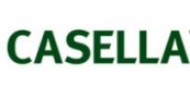 英國CASELLA