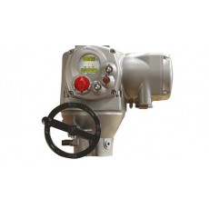 BIFFI電動執(zhí)行器 F01系列
