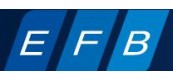 德國EFB ELEKTRONIK