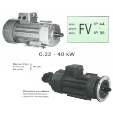 RADIO-ENERGIE變速電機(jī) FV系列