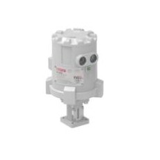 ROTORK電動執(zhí)行器 PAX系列
