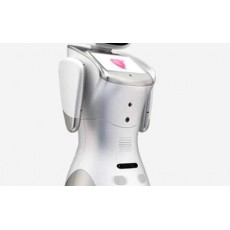 MS-ELECTRONICS三寶服務(wù)機(jī)器人