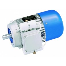 Carpanelli單相制動電機(jī)