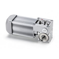 mini motor 無端螺旋齒輪馬達(dá)