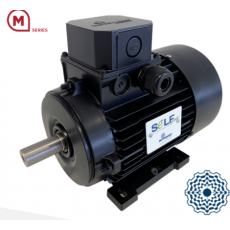意大利MOTOVARIO電機(jī)M系列-自啟動同步電機(jī)