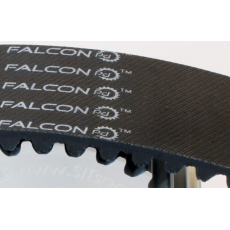 意大利SIT Falcon Pd?皮帶及帶輪