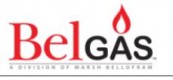 美國 BelGAS