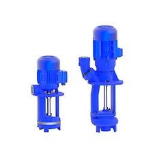 BRINKMANN PUMPS渦動(dòng)泵立FT系列