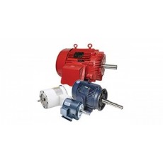 LEESON 泵電機系列