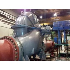 Lufkin Gears 離心泵BB1 DVS系列