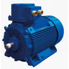 MarelliMotori 電機B5N系列