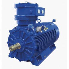 MarelliMotori 電機D5H系列