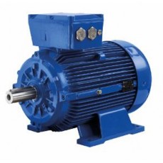 MarelliMotori 電機D5T系列