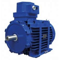 MarelliMotori 電機D5Y-D6Y-D5V系列
