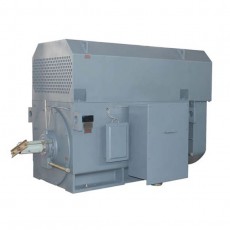 AC Motoren 中高壓電機(jī)系列