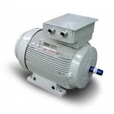 FIMET 粉塵和氣體 ATEX 電機(jī)系列