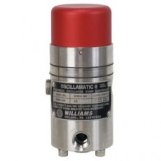 WILLIAMS 定時(shí)器控制器MK-II系列