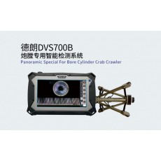 DELLON 炮膛專用智能檢測(cè)系統(tǒng)DVS700B系列