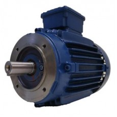 watt drive 低壓電機W20 0.25 kW系列