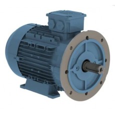 watt drive 低壓電機W20 0.25 kW系列