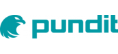 pundit