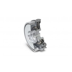 SCHAEFFLER 用于DMF和液力變矩器的離心擺式減振器