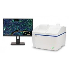 OLYMPUS 數(shù)碼顯微鏡APX100系列