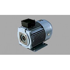 SANSO 用于液壓泵的電動(dòng)機(jī)TWF4711AF系列