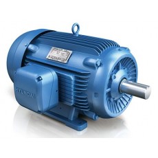 HYUNDAI ELECTRIC 重載電機TEFC系列
