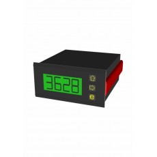 DISIBEINT 數(shù)字顯示面板儀表IPDS系列