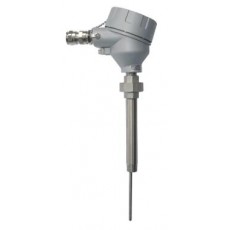 Thermo Est 帶或不帶熱套管的過(guò)程傳感器系列
