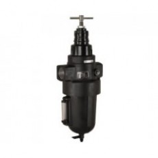Thompson Valves 過(guò)濾減壓閥B17系列