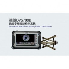 DELLON 炮膛專用智能檢測系統(tǒng)DVS700B系列