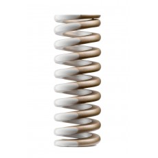 SPECIAL SPRINGS 重型模具彈簧RHGO系列
