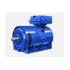 MarelliMotori 電動(dòng)機(jī)C3M系列