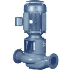 Amir pumps 立式管道泵TS系列
