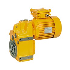 LEROY SOMER 斜齒輪減速電機(jī)21 區(qū)系列