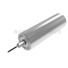 Damon 皮帶輸送機用電動輥筒系列