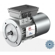 MOTOVARIO 單相電機(jī)S系列