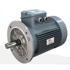 MOTOVARIO IEC鋁制電機(jī)AERV系列