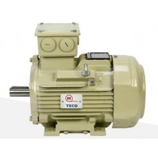 MOTOVARIO 鑄鐵電機(jī) ATEX系列