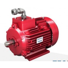MOTOVARIO 排煙電機(jī)Smokespill系列