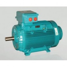 BUSCK 三相鑄鐵電機(jī)IE4**系列