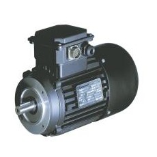 Carpanelli 矢量電機(jī)MVSB14系列
