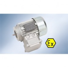 WALTHER FLENDER 電動機(jī)ATEX式系列