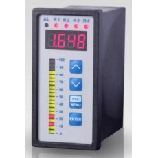 BD SENSOR 過程顯示器CIT 350系列