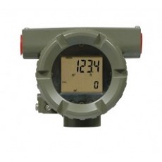YOKOGAWA 質(zhì)量流量計(jì)LR科里奧利系列