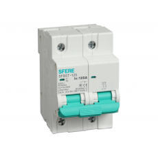 SFERE 小型斷路器SFB5T-125系列