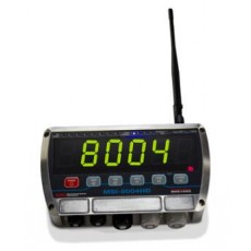 RICELAKE 遠程顯示器MSI-8004HD系列