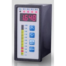 BDSENSORS 過程顯示器CIT 350系列